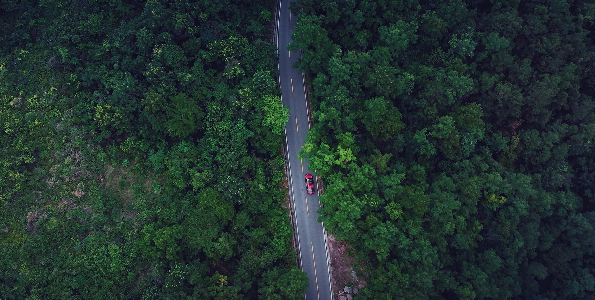 /content/byd-site/en-lb/about-byd/""